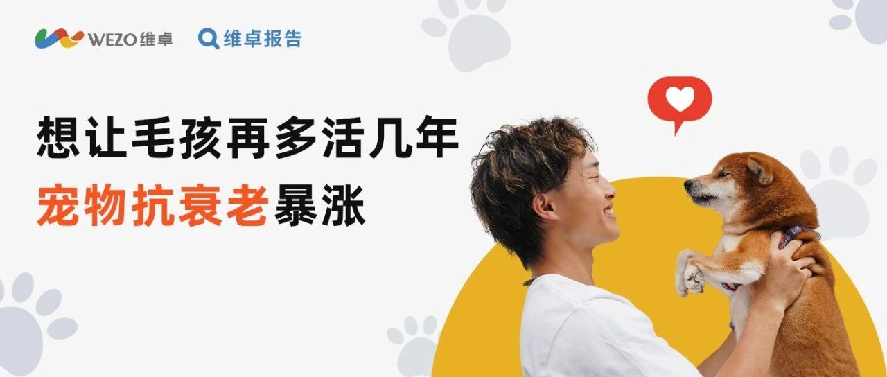 为毛孩花钱没上限高端粮5年翻2倍快冲
